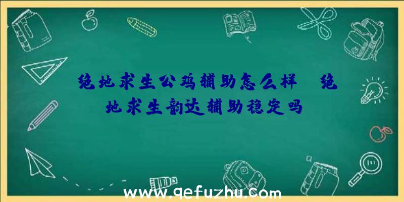 「绝地求生公鸡辅助怎么样」|绝地求生韵达辅助稳定吗